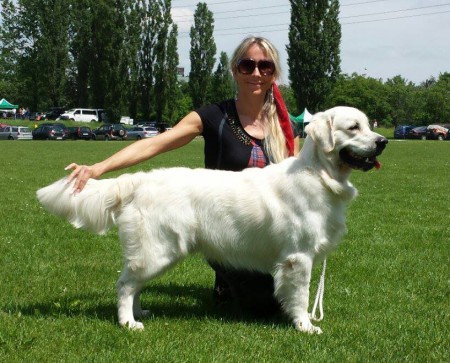 Hadley Bismillahi, V2, IDS Krakow, 16.06.2013